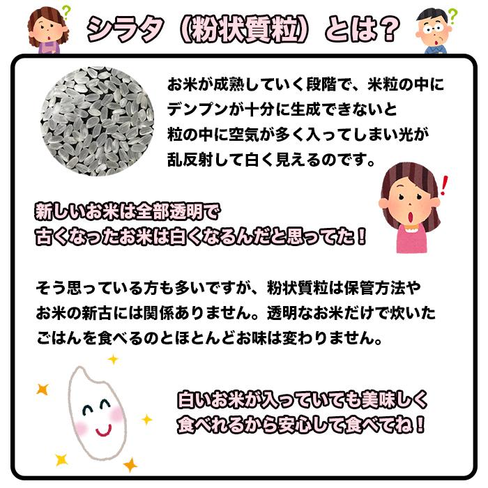 日本のお米 10kg 白米 米 おこめ お米 10キロ 送料無料 ブレンド米