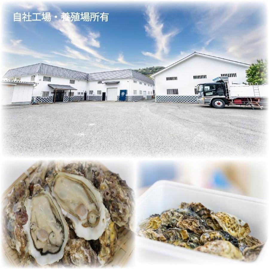 楽天市場】【ふるさと納税】 訳あり 牡蠣 3kg/5kg/6kg(3kg×2)/10kg(5kg×2)（生食可) かき カキ 冷凍 岩手県産 殻付き  生食 生食用 新鮮 濃厚 訳あり わけあり 大きさ 不揃い 三陸 産 カンカン焼き アヒージョ BBQ バーベキュー 鍋 フライ キャンプ 貝 岩手県  大船渡市 ...