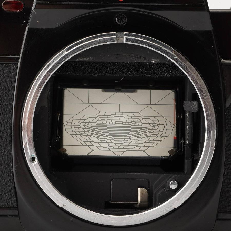 キヤノン Canon AL-1 SLR Film Camera / FD 50mm F1.8 : ナチュラル