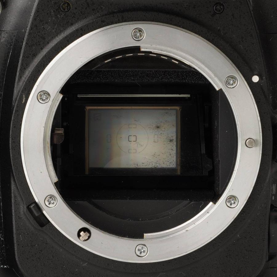 ニコン（Nikon） Nikon D50 / AF 28-80mm F3.5-5.6 D : ナチュラル
