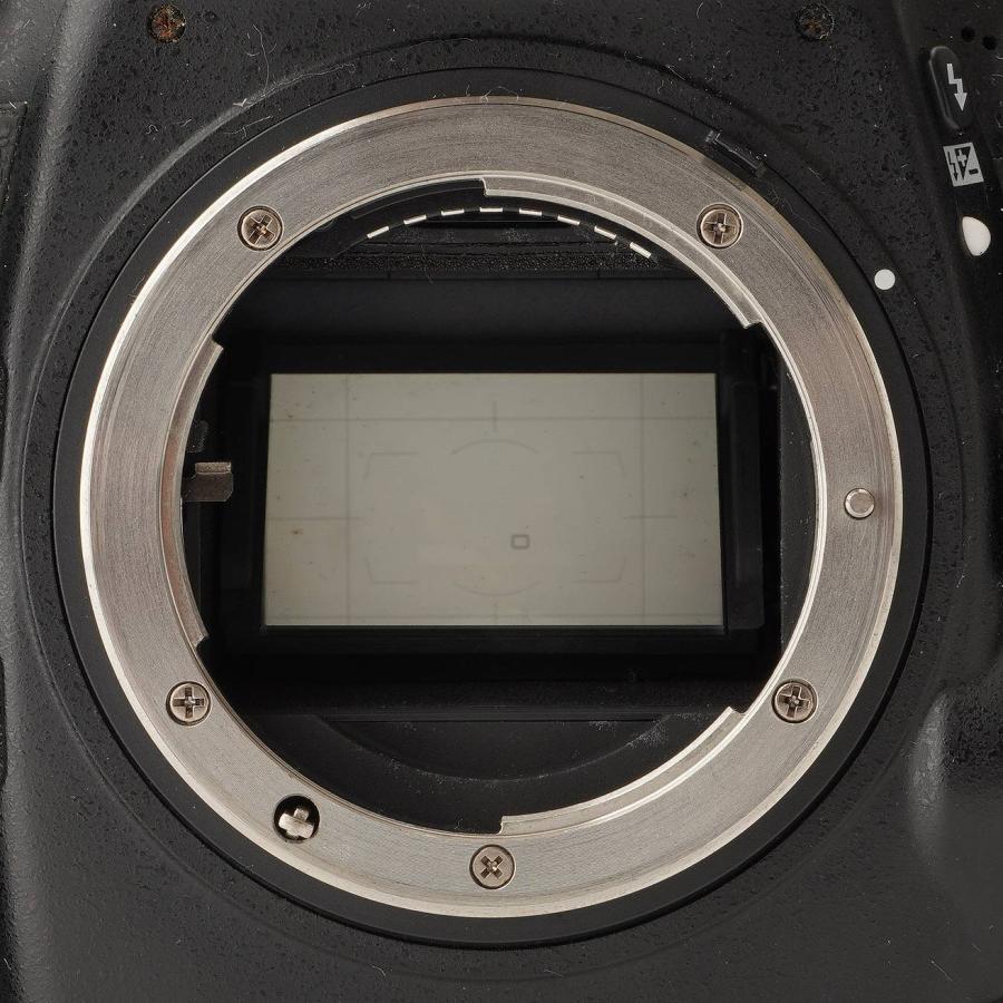 ニコン（Nikon） Nikon D800 / AF-S NIKKOR 28-300mm F3.5-5.6 G ED VR