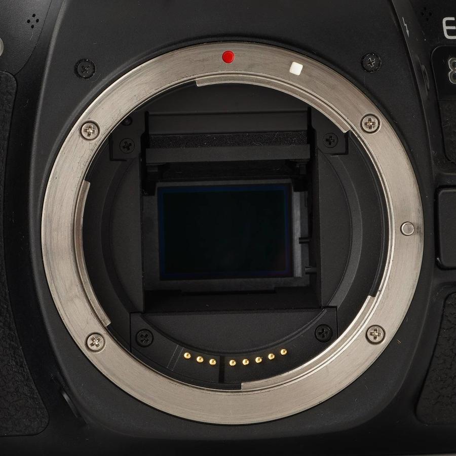キヤノン（Canon） Canon EOS 80D デジタル一眼レフカメラ ボディ