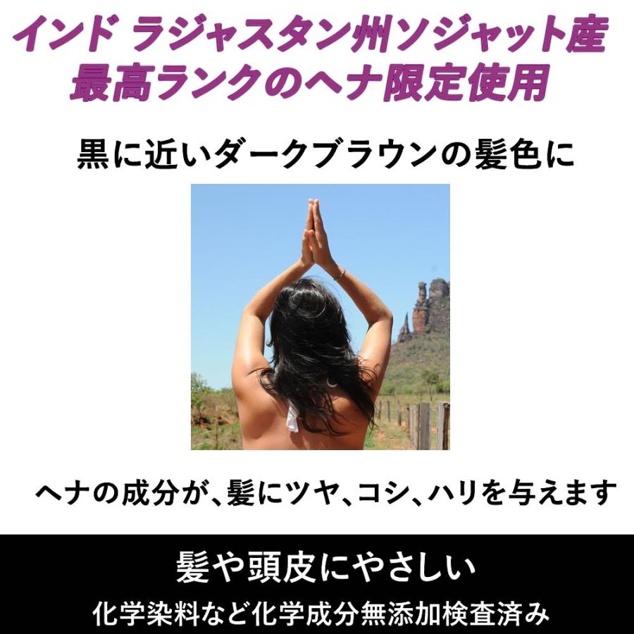 ラジャスタンヘナ ダークブラウン 濃い黒茶色 100g PE手袋付き