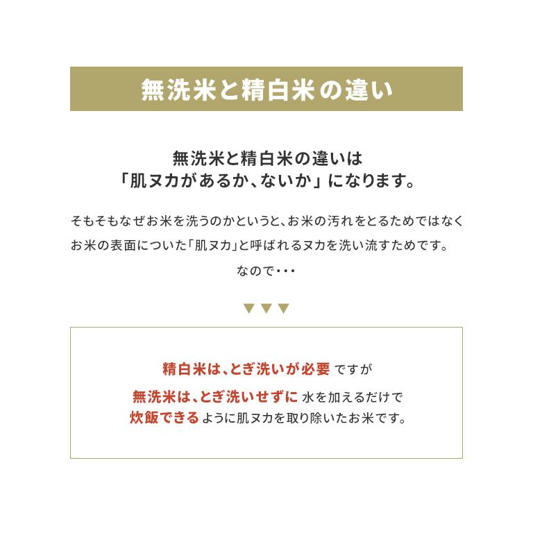 宮城県産 ひとめぼれ 令和5年産 4.5kg（2.25kg×2パック） 精白米 無洗米 白米 真空パック 特別栽培米 米 ご注文後に精米納品｜naturalberry｜09