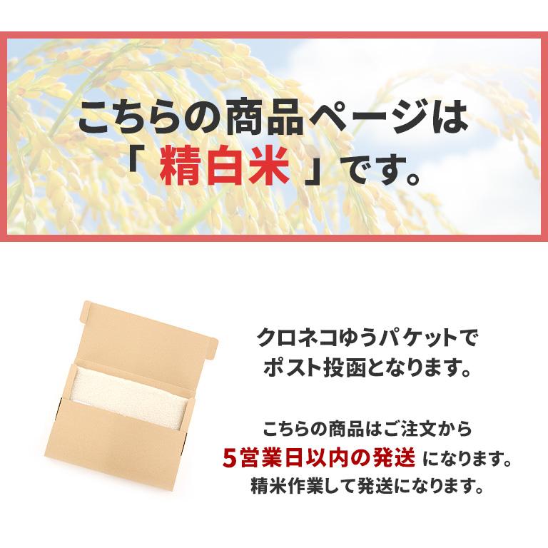 宮城県産 ひとめぼれ 令和5年産 精米 白米 お試し真空パック 6合分（900g） 特別栽培米 米 ポスト投函｜naturalberry｜04