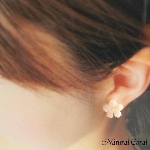 ピンク珊瑚 ぴんくさんご サンゴ ピアス 桜 ナチュラルコーラルの画像