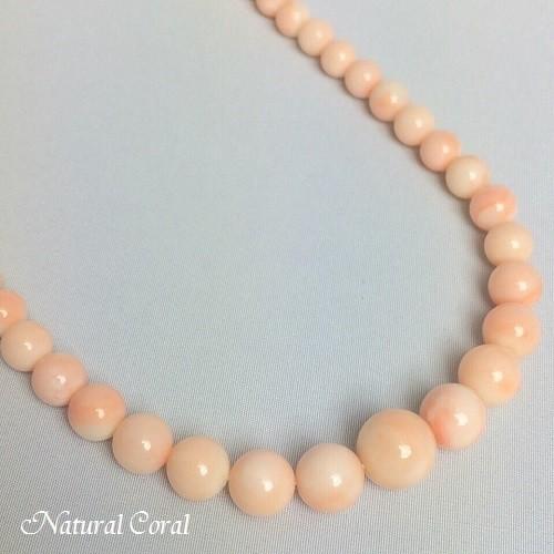 ピンク珊瑚 ぴんくさんご ネックレス 玉 ナチュラルコーラル 送料無料 珊瑚(50700円)