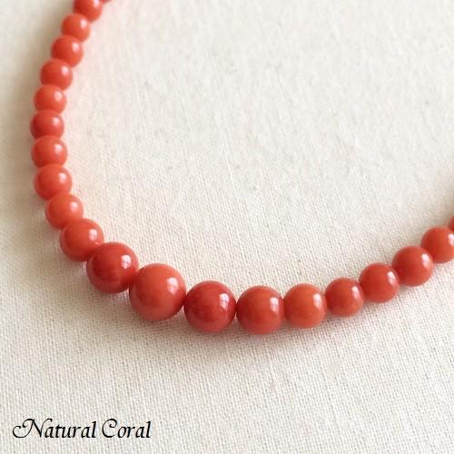 朝*雨様 天然赤サンゴ ？ネックレス 約48cm 天然素材かどうかは分かりません 楽天市場】赤珊瑚 レッド ネックレス 48cm K18WG ホワイト