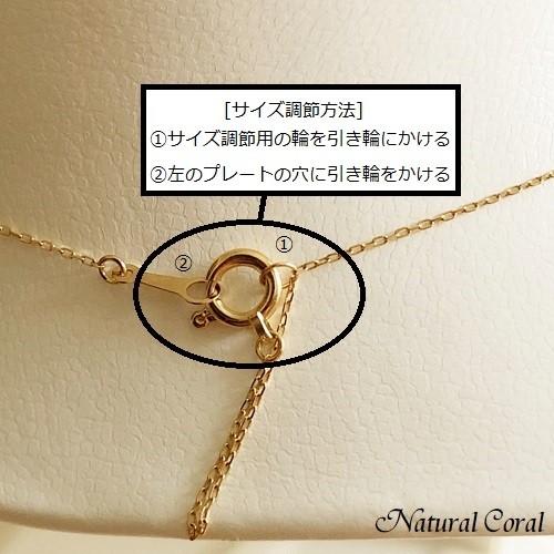 血赤珊瑚 ちあかさんご サンゴ ペンダント K18 ナチュラルコーラルの画像