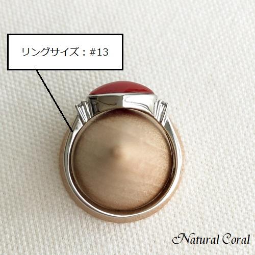 正規品 血赤珊瑚 ちあかさんご リング オーバル ダイヤ Pt ナチュラルコーラル 【ZYX4062328532】(145600円)