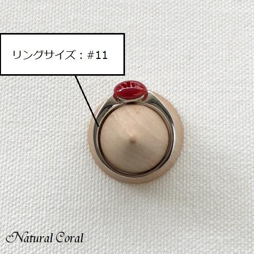 血赤珊瑚 ちあかさんご リング 楕円 ダイヤ Pt ナチュラルコーラルの画像