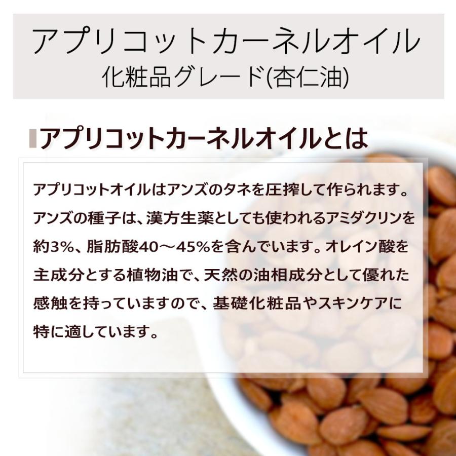アプリコットカーネルオイル 100ml 詰め替え用 ポスト投函可 マッサージオイル スキンケア 美容オイル 精製|naturalcosmetic|02