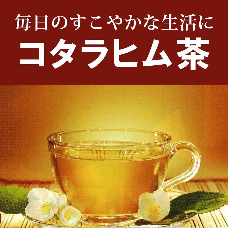 コタラヒム茶 ティーバッグ大 煎じ用 健康茶 ポスト投函不可 Kot 1 自然化粧品研究所 通販 Yahoo ショッピング