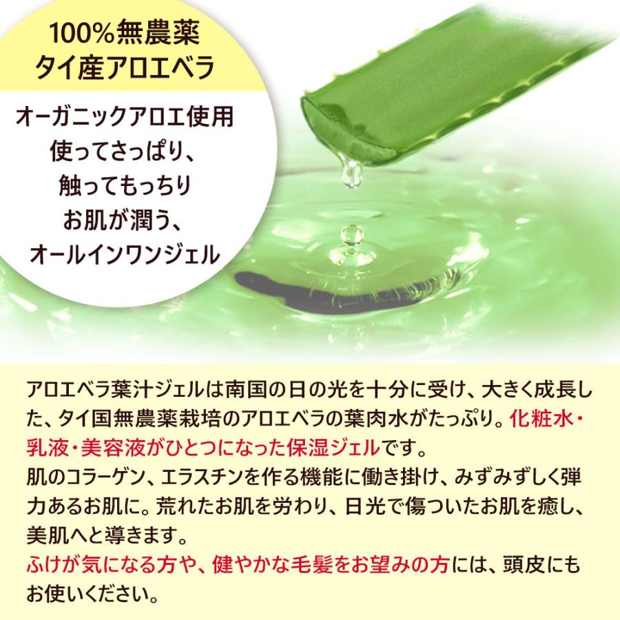 自然化粧品研究所 アロエベラ葉汁ジェル 100g パウチ : 自然化粧品研究