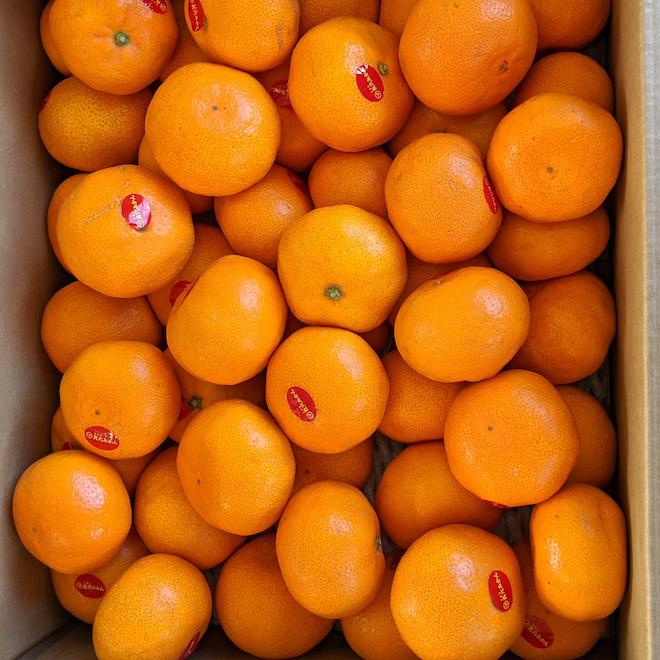 愛媛県産 真穴みかん ひなの里 S〜Lサイズ約5kg : ナチュラル