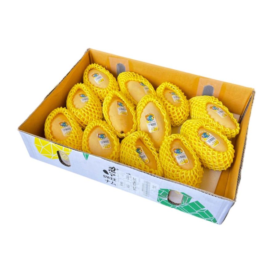 タイ産ナムドクマイマンゴー 12〜14玉入り 2ケース