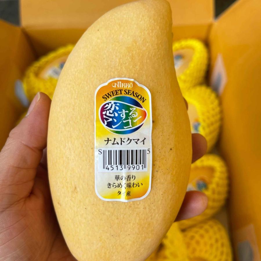 タイ産マンゴー ナムドクマイ種 マハチャノ種 3玉入 タイ タイ産マンゴー ナムドクマイ種 マハチャノ種 3玉入 タイ