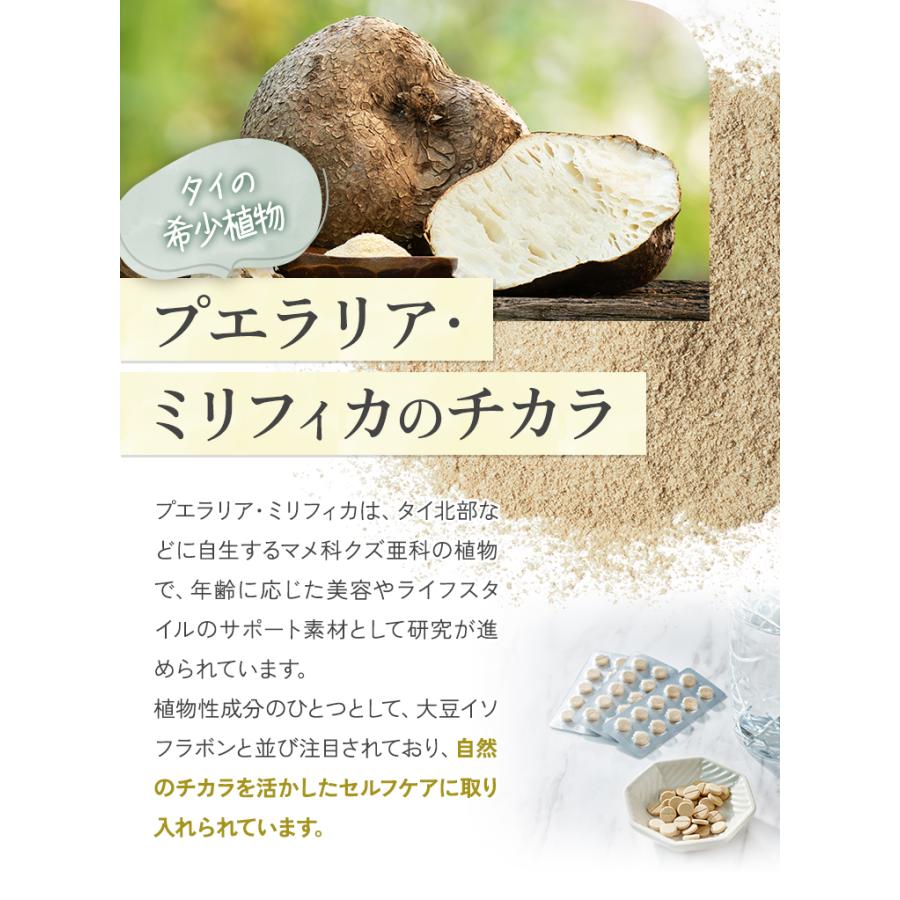 植物性エストロゲン プエラリアサプリ 【マチュレモア100粒】純天然 