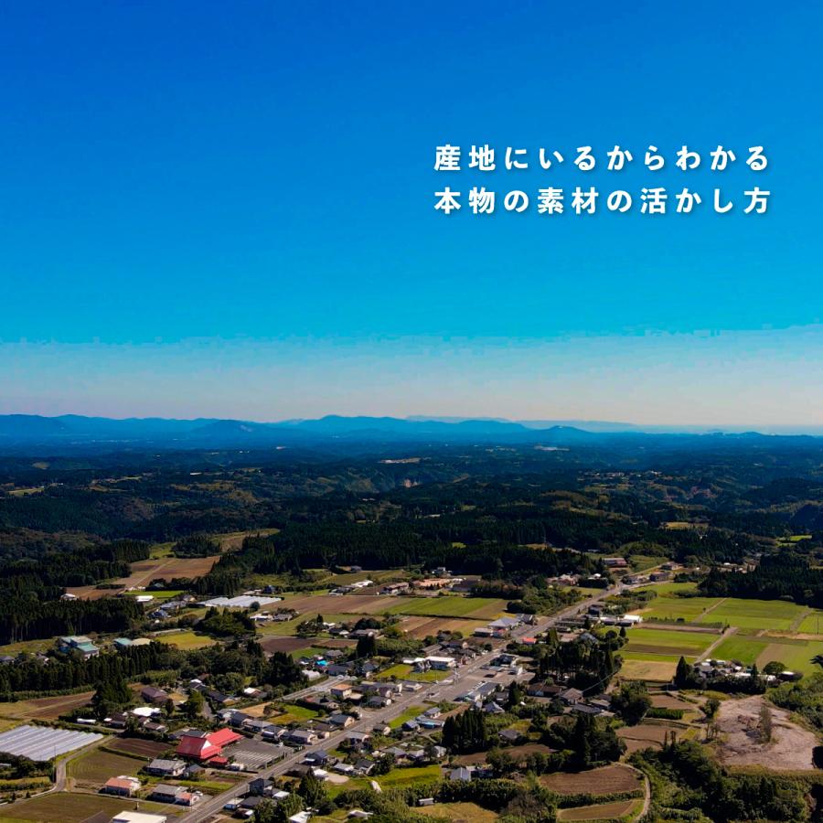 スイートポテト 皮つき 90ｇ 本 さつまいも スイーツ 業務用 幸せのスイートポテト Jm0026 しぜんのおかショップ 通販 Yahoo ショッピング