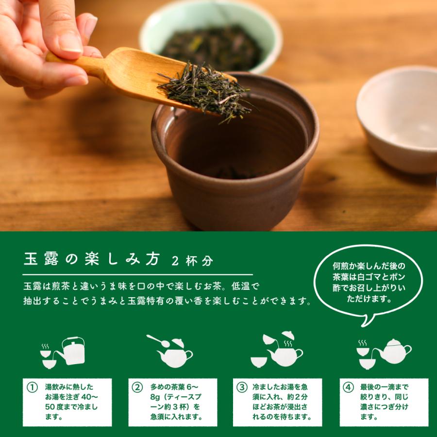 玉露 日本茶 茶々姫 100ｇ オーガニック 有機栽培 緑茶 鹿児島県産 坂元園製茶 有機玉露 鹿児島県志布志市産 有機JAS 日本茶の王様 茶葉 リーフタイプ 化学農薬｜naturalhills｜11