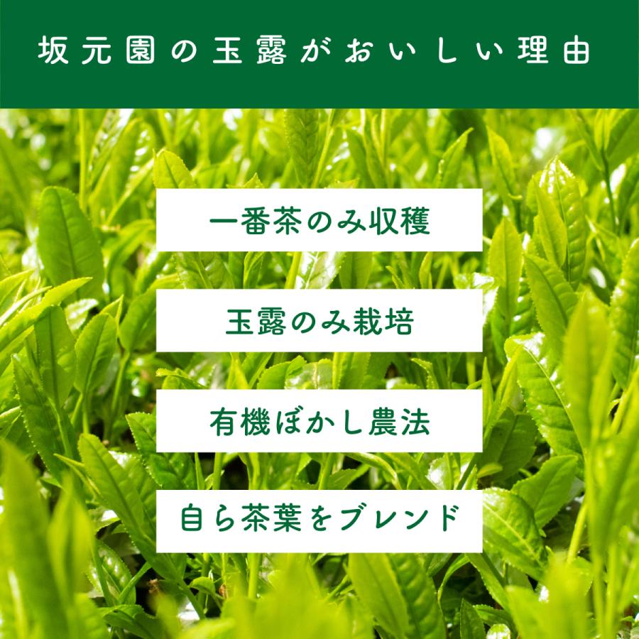 玉露 日本茶 茶々姫 100ｇ オーガニック 有機栽培 緑茶 鹿児島県産 坂元園製茶 有機玉露 鹿児島県志布志市産 有機JAS 日本茶の王様 茶葉 リーフタイプ 化学農薬｜naturalhills｜07