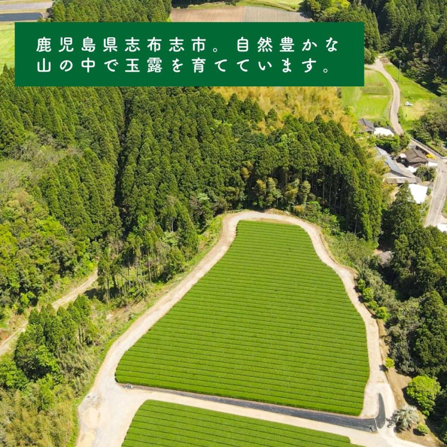 玉露 日本茶 茶々姫 100ｇ オーガニック 有機栽培 緑茶 鹿児島県産 坂元園製茶 有機玉露 鹿児島県志布志市産 有機JAS 日本茶の王様 茶葉 リーフタイプ 化学農薬｜naturalhills｜10