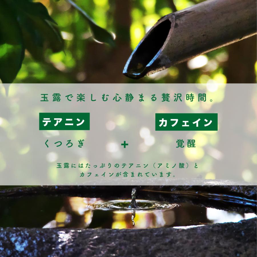 坂元園 オーガニック 玉露 雁がね(茎茶)100g 鹿児島県産 日本 坂元園 オーガニック 玉露 雁がね(茎茶)100g 鹿児島県産 日本
