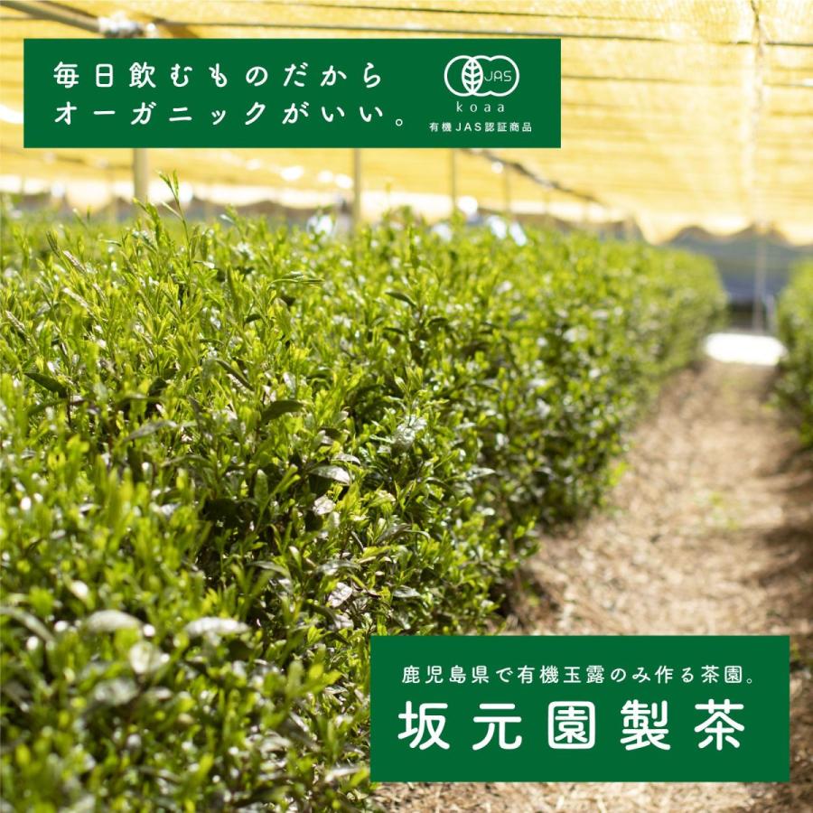 坂元園 オーガニック 玉露 雁がね(茎茶)100g 鹿児島県産 日本 坂元園 オーガニック 玉露 雁がね(茎茶)100g 鹿児島県産 日本