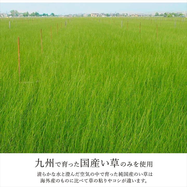 い草ラグ 191×300cm カーペット い草 DXノア 国産 日本製 防炎 市松柄 ナチュラル_9