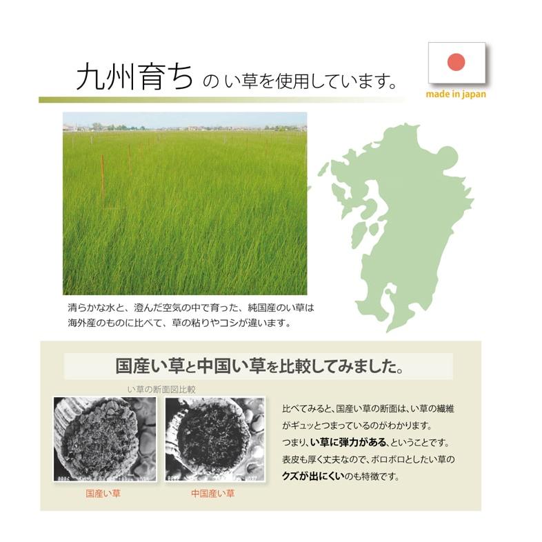 キッチンマット 60×270cm マット い草 オールシーズン 国産 日本製 ドット柄 お手入れ簡単 Fドロップの画像