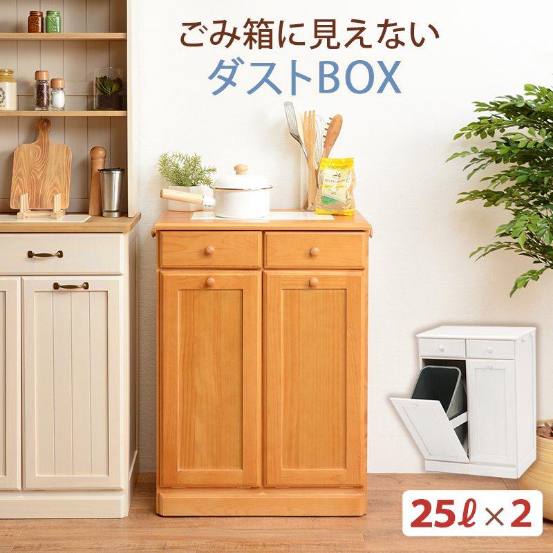 ダストボックス 2分別 キャスター付き 25Lペール2個付 ごみ箱 ゴミ箱