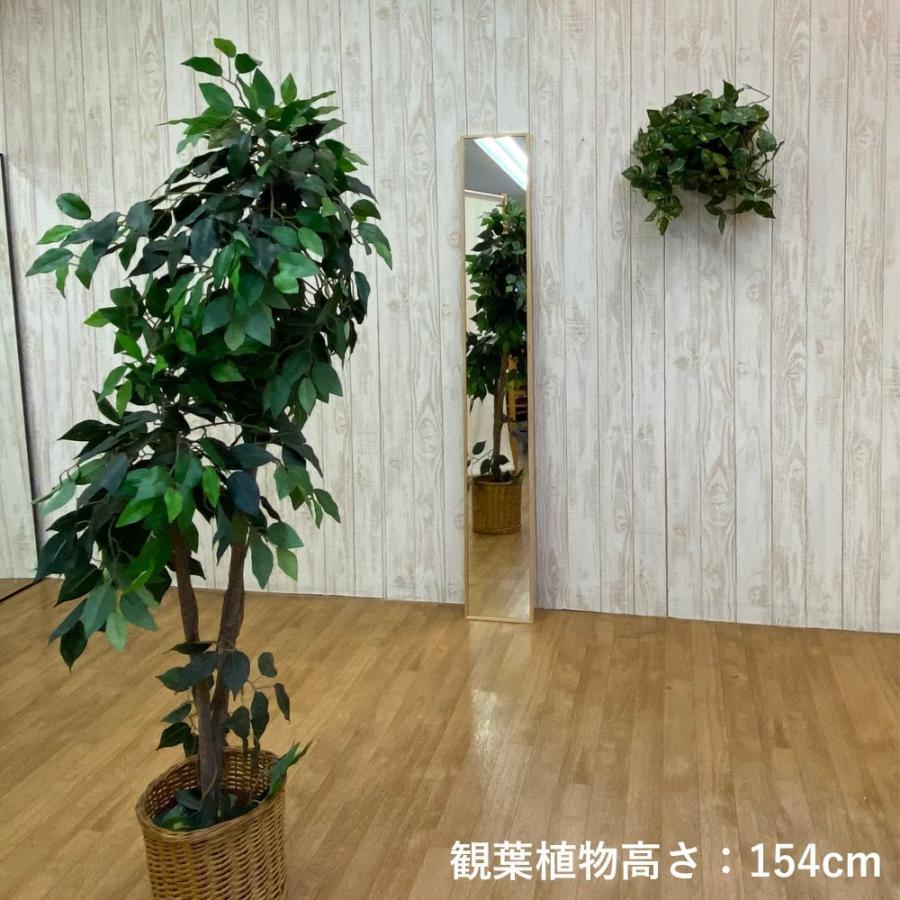 鏡 壁掛け 姿見 ミラー 玄関 ウォールミラー全身 スリム 壁掛け鏡 細い