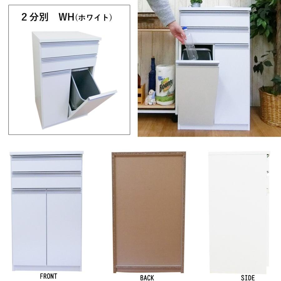 ゴミ箱 ダストボックス カウンター 2分別 おしゃれ 国産 日本製 完成品