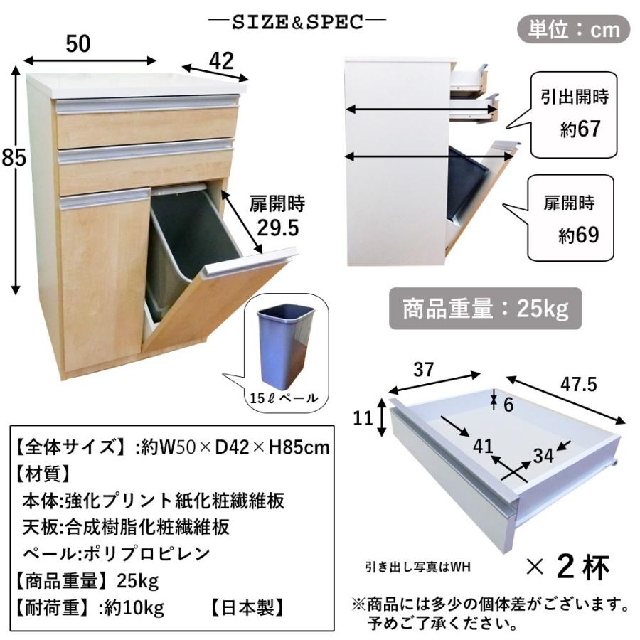 ゴミ箱 ダストボックス カウンター 2分別 おしゃれ 国産 日本製 完成品
