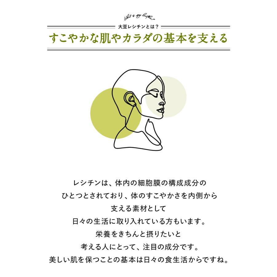 大豆レシチン ハイ・レシチン 顆粒タイプ : ナチュラリーヘルスフーズ