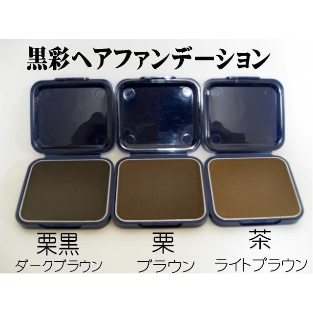 送料無料 超特価 黒彩ヘアファンデーション 栗黒 栗 茶 13ｇ 詰替 ナチュラルミント 通販 Yahoo ショッピング