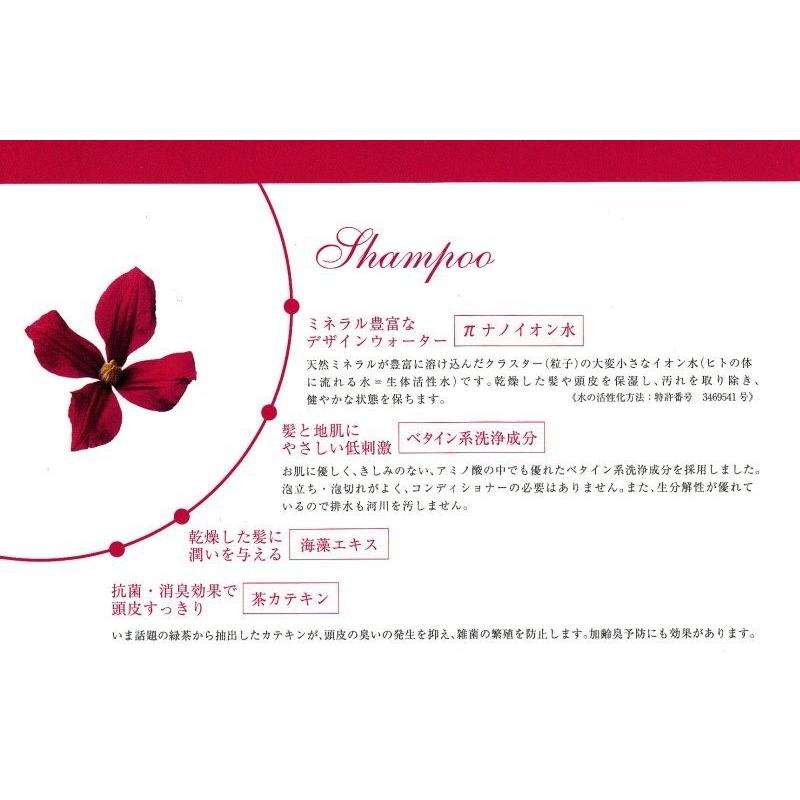 プロコスメ πネオシャンプー1000ml 1L 【詰替え】 パイネオ