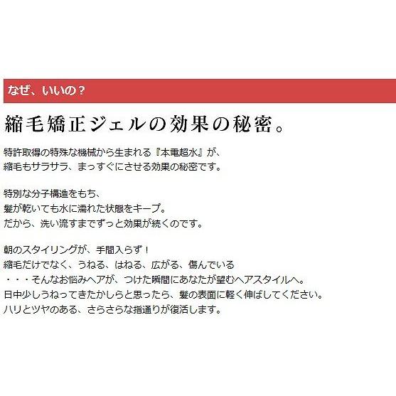 日本ケミコス（nihoncamicos） ☆送料無料☆縮毛矯正ジェル1000ml×2個