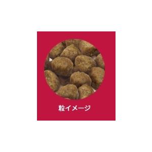 セレクトバランス パピー　チキン　子犬・母犬用　小粒　3Kg｜naturalpetfood-herb｜02