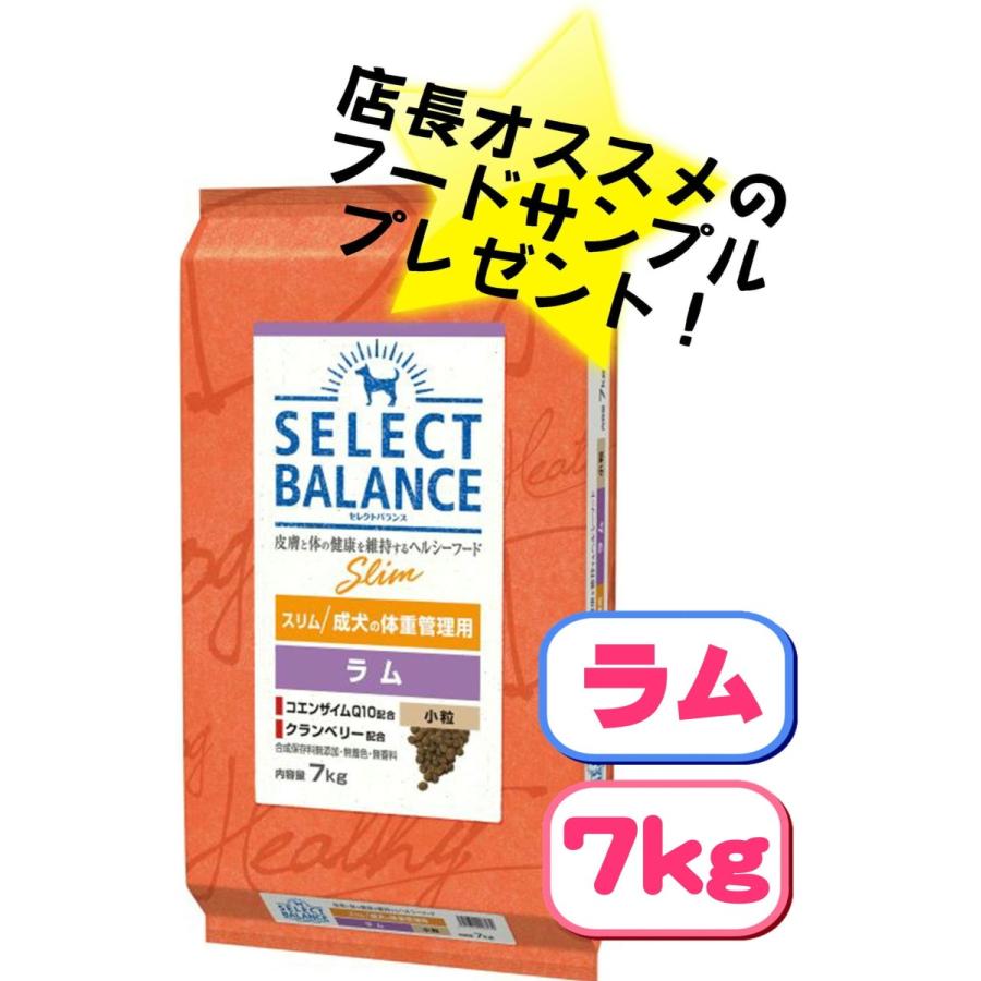 SELECT BALANCE セレクトバランス スリム ラム 小粒 成犬の体重 SELECT BALANCE セレクトバランス スリム ラム 小粒 成犬の体重