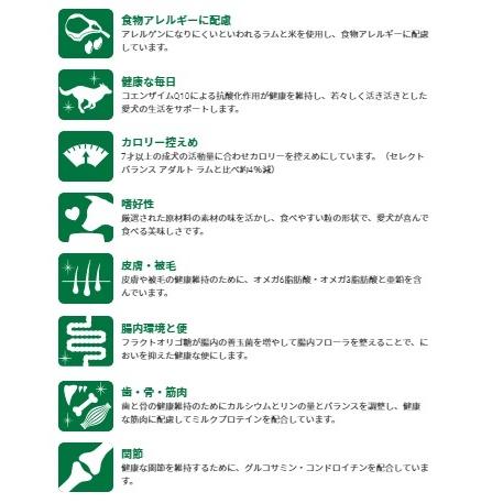 SELECT BALANCE セレクトバランス エイジング ラム 小粒 7才以上の成