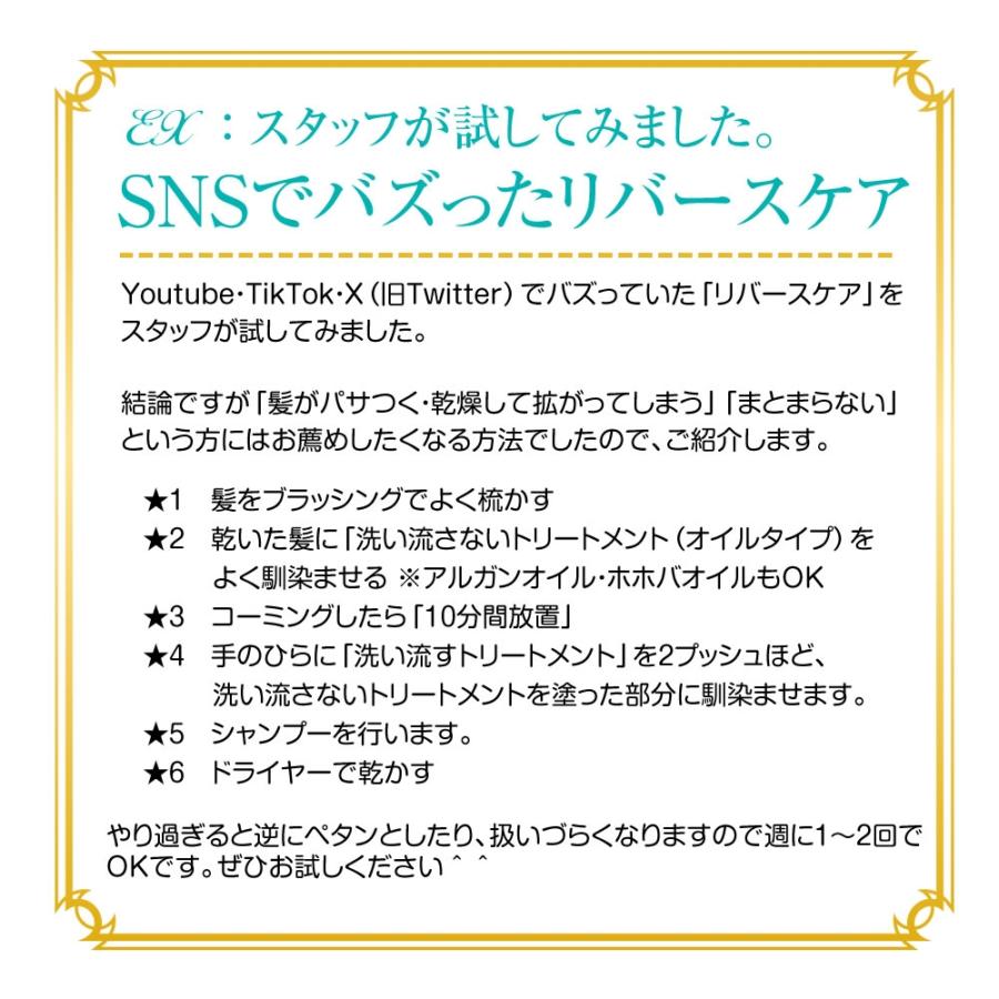 サロン専売 コラーゲンエキス 主成分 ヘマチン配合 シャンプー 500mL