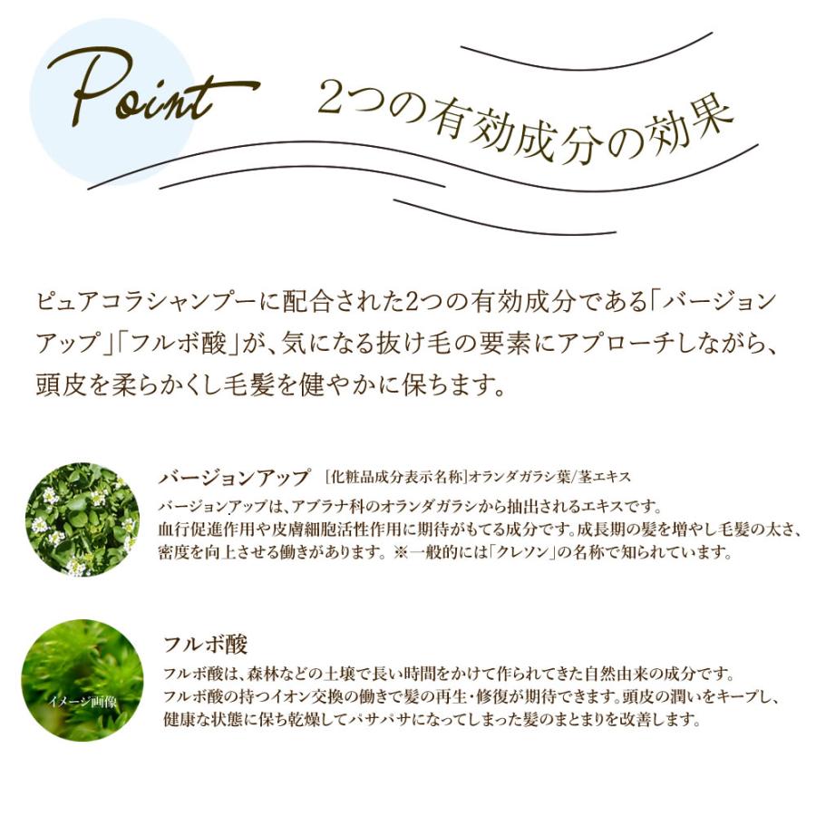 クリムヴィータシャンプー詰め替え500ml2個セット CLIMVITA クリムヴィータ ピュアコラシャンプー 詰替え