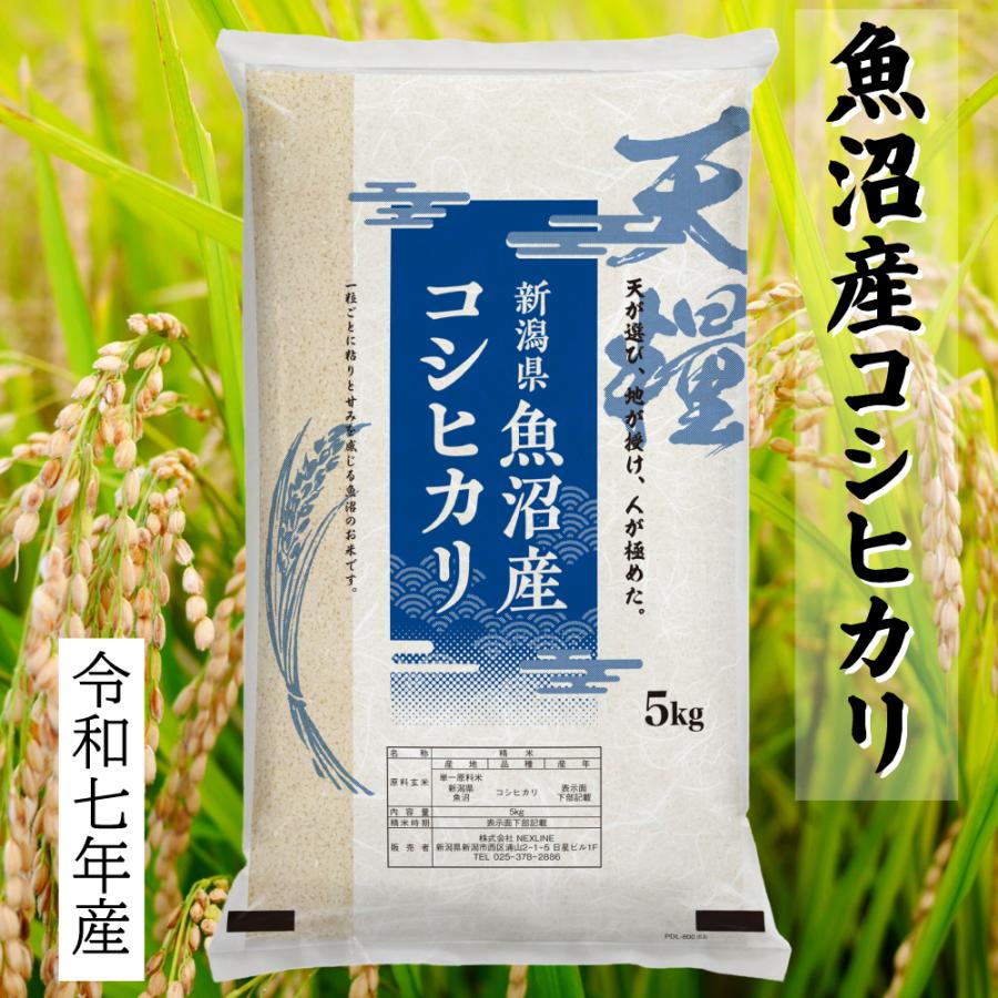 令和7年産 魚沼産 コシヒカリ 10kg(5kgx2) 無洗米 新潟 一等米 天糧 
