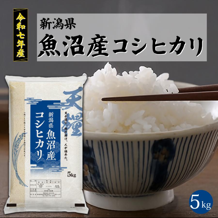 令和7年産 魚沼産 コシヒカリ 5kg 無洗米 新潟 一等米 天糧 新潟産 米