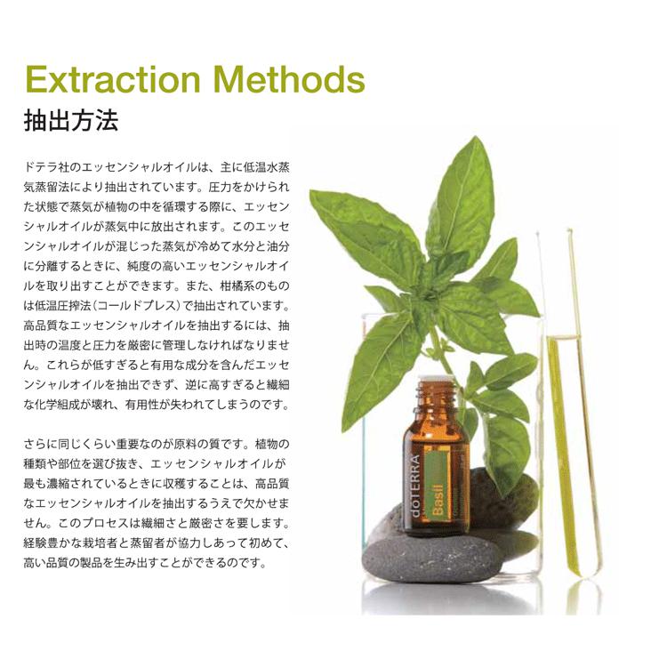 ドテラ doTERRA オレンジ(ワイルドオレンジ) 15 ml アロマオイル ドテラ doTERRA オレンジ(ワイルドオレンジ) 15 ml アロマオイル