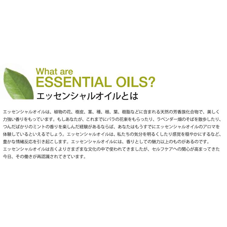 くらしの応援クーポン対象 Doterra ドテラ シダーウッド 15 Ml アロマオイル エッセンシャルオイル 精油 シングルオイル ヒ Do ナチュラルポット 通販 Yahoo ショッピング
