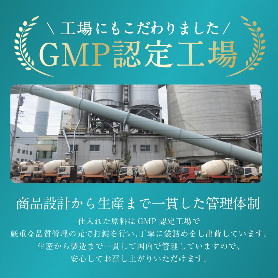2個【国内製造】『デアザフラビン30 31粒』【5ala CoQ10も追加配合】_11