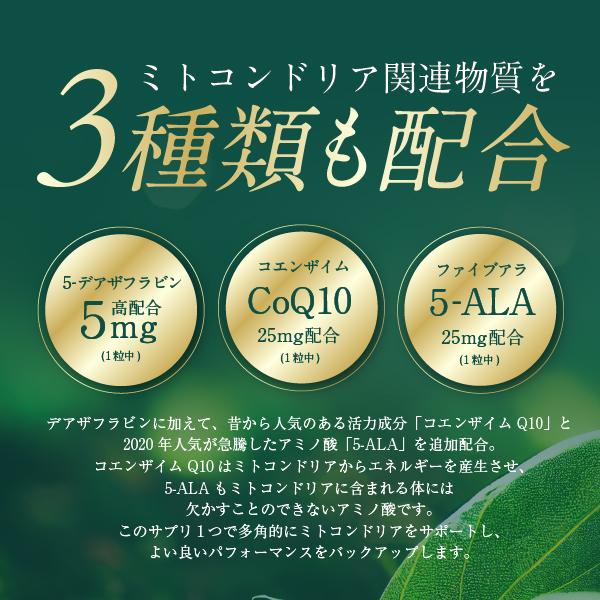 国産デアザフラビン】『デアザフラビン 15粒 5個セット』【5
