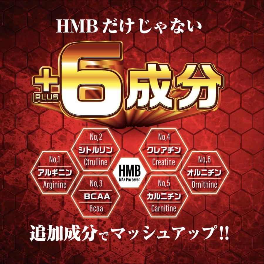 【国内原料＆国内生産】『HMB MAX pro seven 400粒 』【驚異のコスパ！HMB 102,000mg配合+6成分】サプリ【サプリメント】｜naturalrainbow｜05